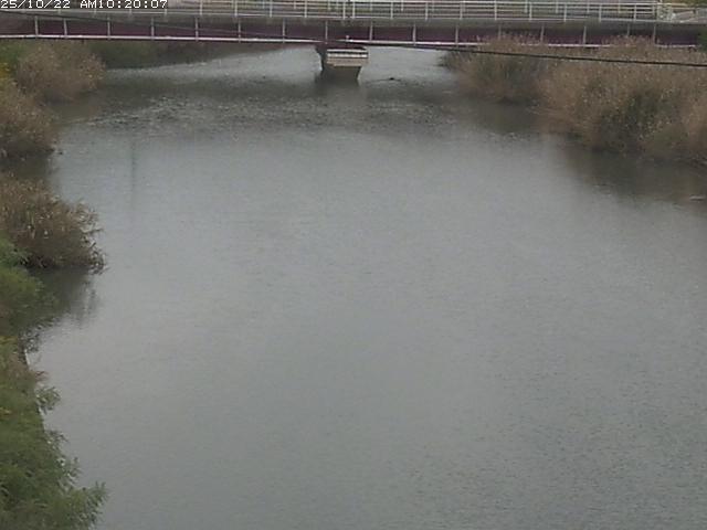 日置川１2025/10/22 11:20:00