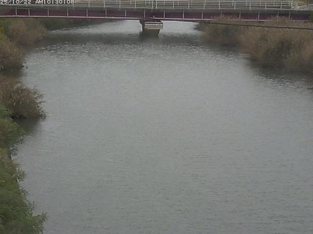 日置川１2025/10/22 11:20:00