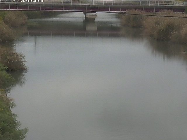 日置川１2025/10/22 11:20:00