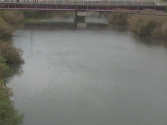 日置川１2025/10/22 11:20:00