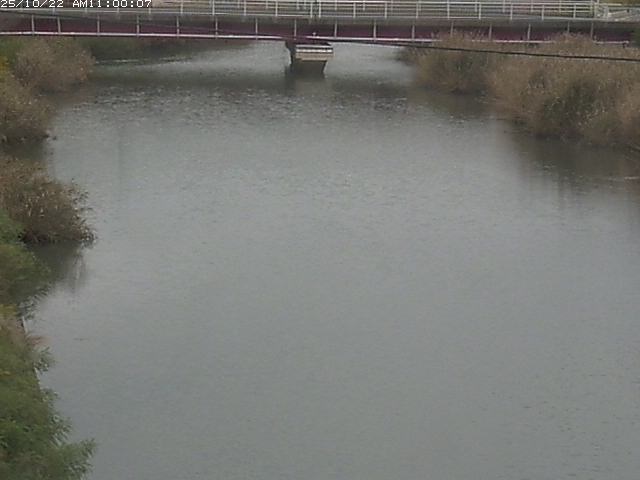 日置川１2025/10/22 11:20:00