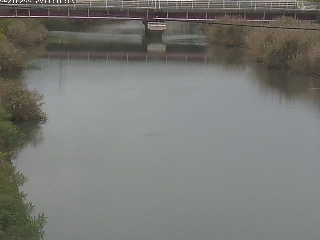 日置川１2025/10/22 11:20:00