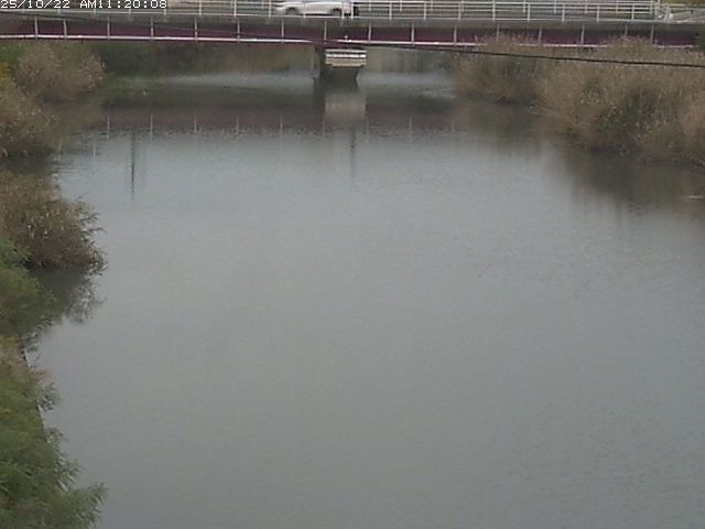 日置川１2025/10/22 11:20:00