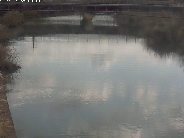 日置川１2025/12/08 11:30:00