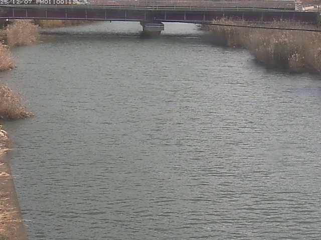 日置川１2025/12/08 11:30:00