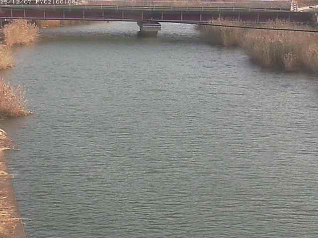 日置川１2025/12/08 11:30:00