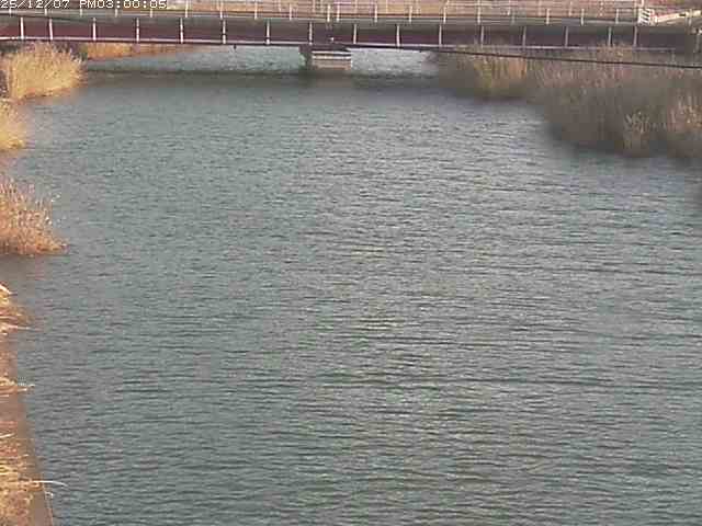 日置川１2025/12/08 11:30:00