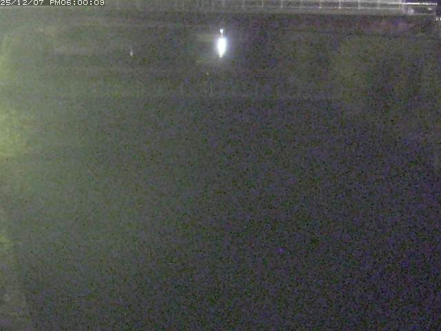 日置川１2025/12/08 11:30:00