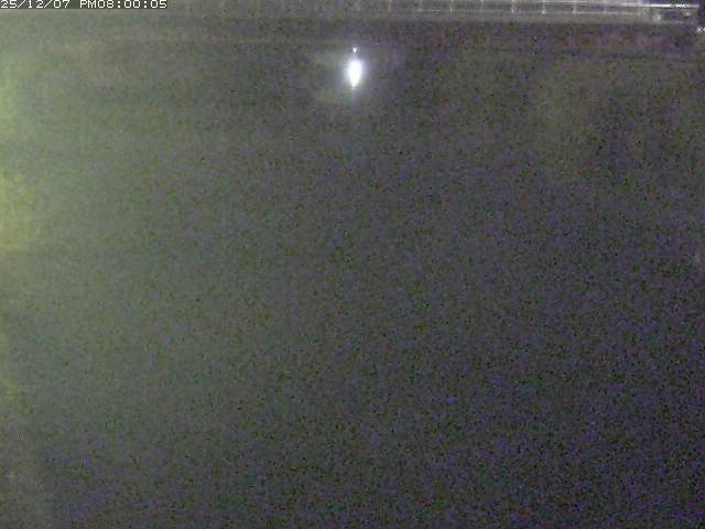 日置川１2025/12/08 11:30:00