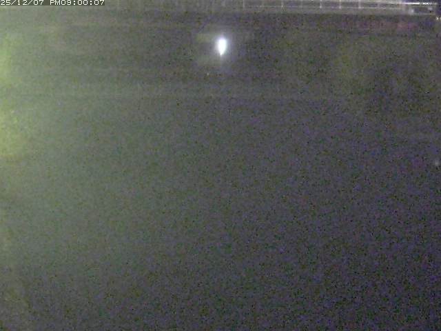 日置川１2025/12/08 11:30:00