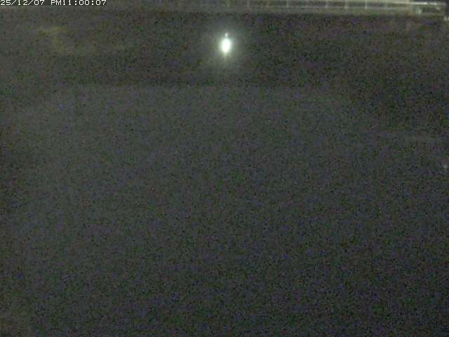 日置川１2025/12/08 11:30:00