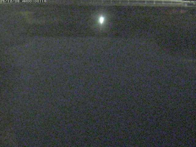 日置川１2025/12/08 11:30:00