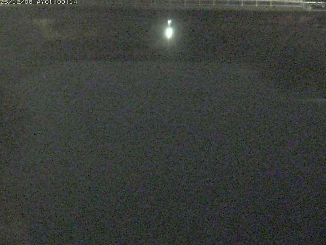 日置川１2025/12/08 11:30:00