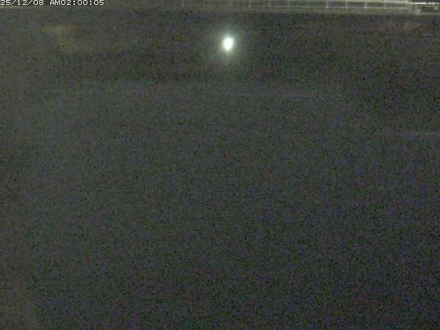 日置川１2025/12/08 11:30:00