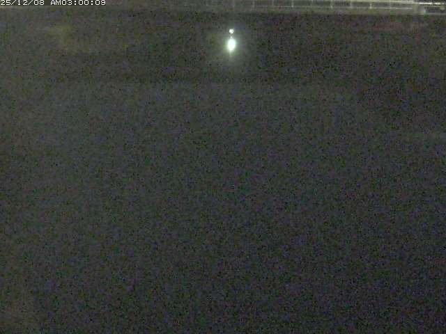 日置川１2025/12/08 11:30:00