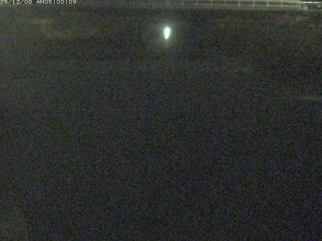 日置川１2025/12/08 11:30:00