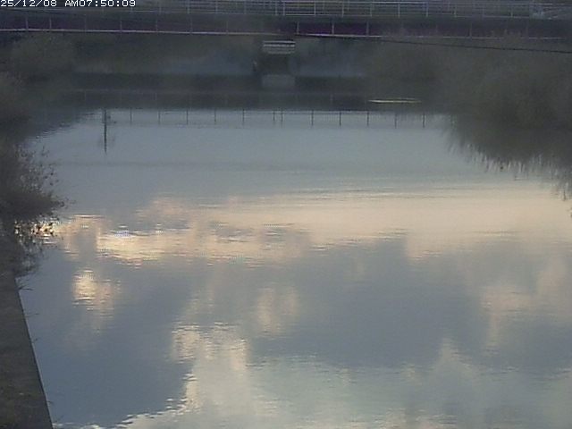 日置川１2025/12/08 11:30:00