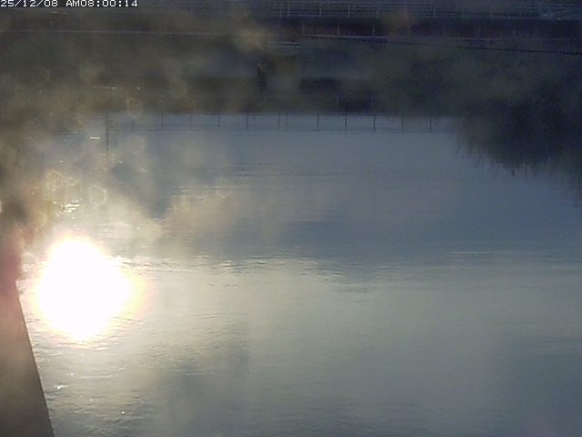 日置川１2025/12/08 11:30:00