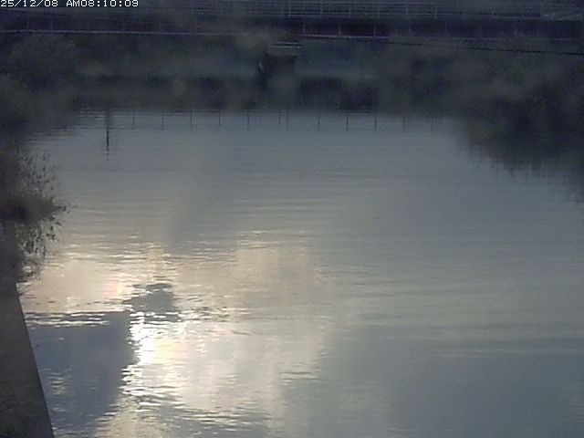 日置川１2025/12/08 11:30:00