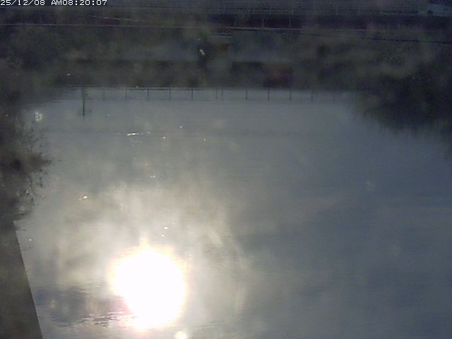 日置川１2025/12/08 11:30:00