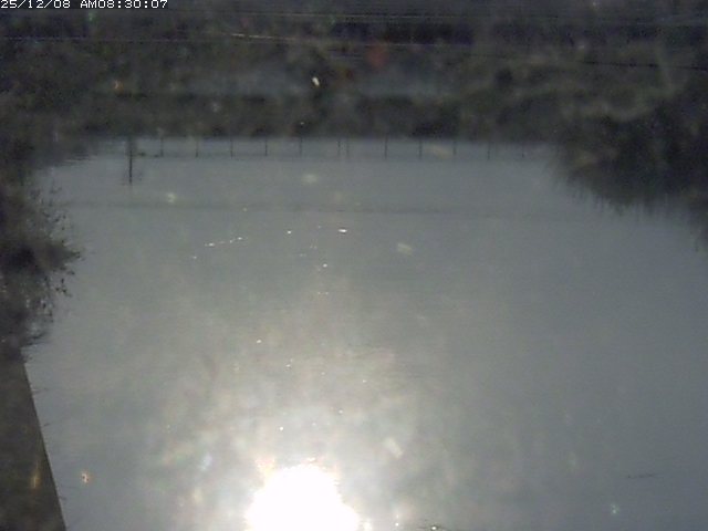 日置川１2025/12/08 11:30:00