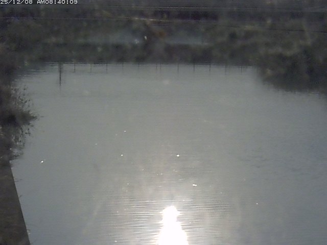 日置川１2025/12/08 11:30:00