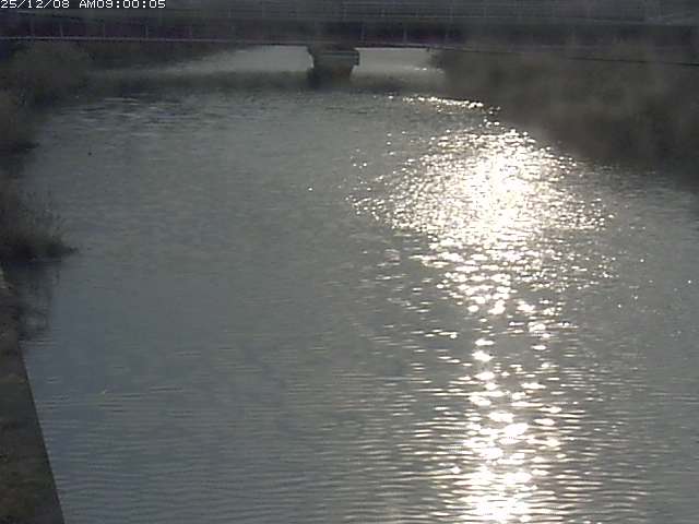 日置川１2025/12/08 11:30:00