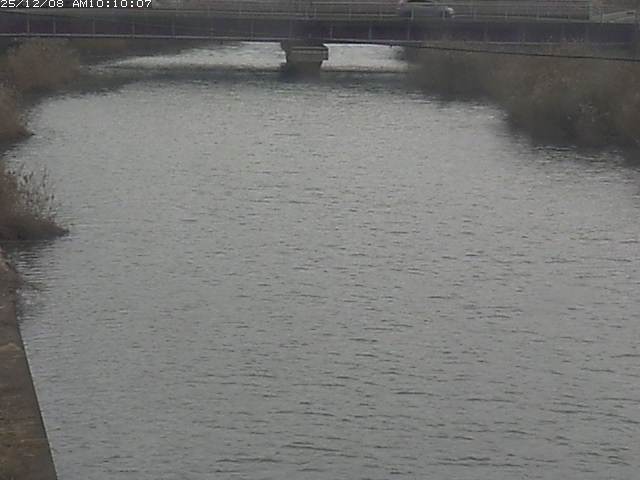 日置川１2025/12/08 11:30:00