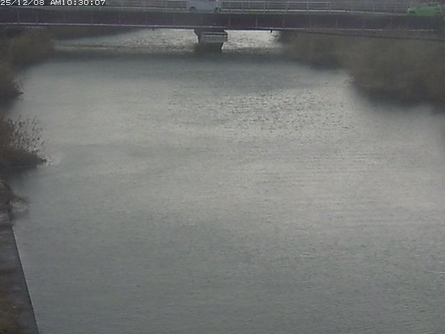 日置川１2025/12/08 11:30:00