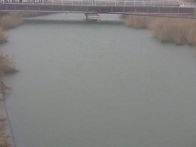 日置川１2025/12/08 11:30:00