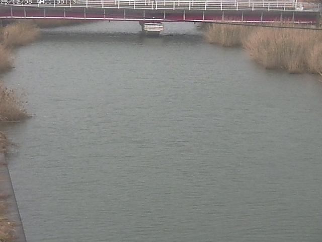 日置川１2025/12/08 11:30:00