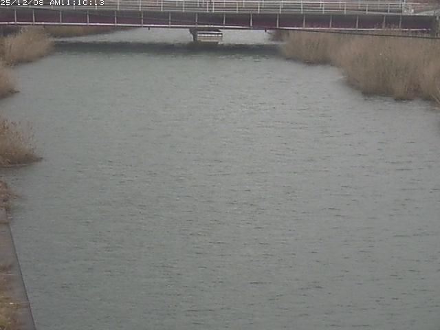 日置川１2025/12/08 11:30:00