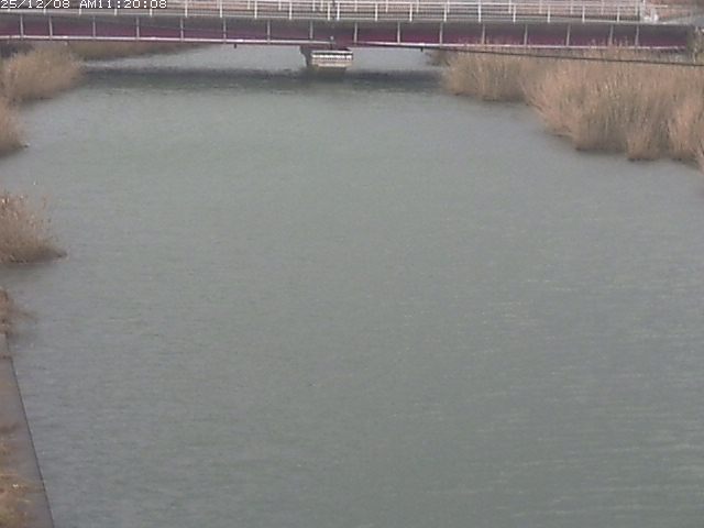 日置川１2025/12/08 11:30:00