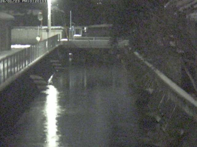 山白川２2026/01/24 1:50:00