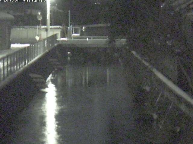 山白川２2026/01/24 1:50:00