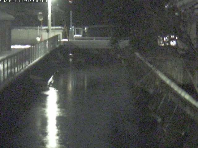 山白川２2026/01/24 1:50:00