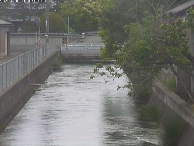 山白川２2026/05/01 16:50:00