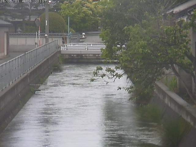 山白川２2026/05/01 16:50:00