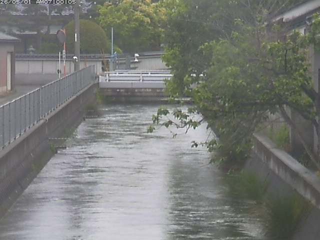 山白川２2026/05/01 16:50:00
