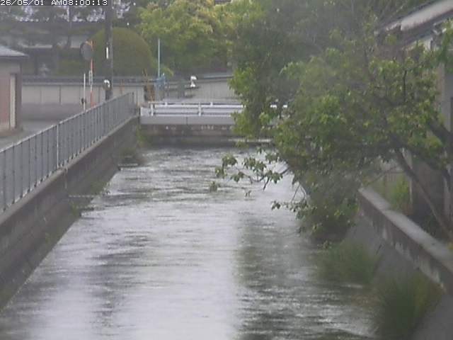 山白川２2026/05/01 16:50:00