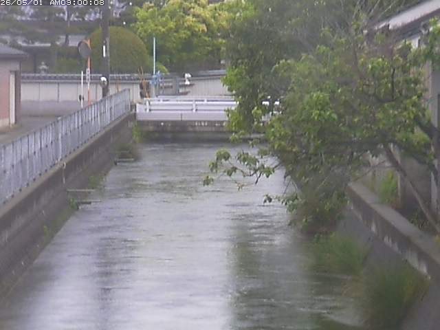 山白川２2026/05/01 16:50:00