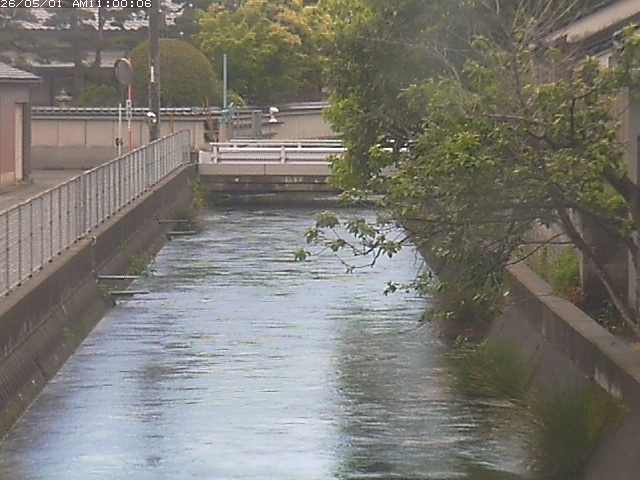 山白川２2026/05/01 16:50:00