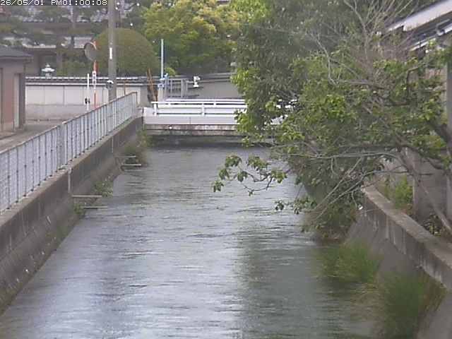 山白川２2026/05/01 16:50:00