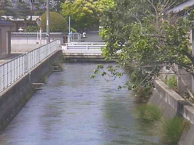 山白川２2026/05/01 16:50:00