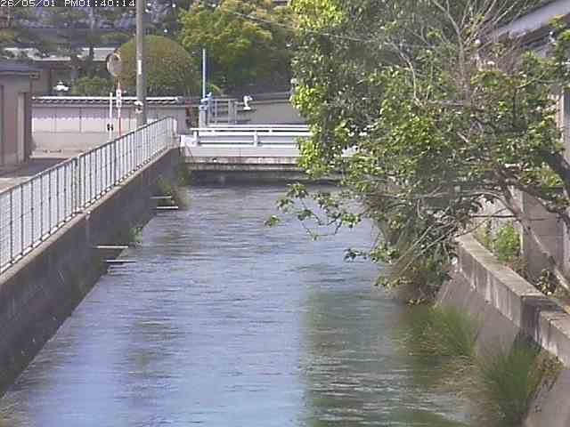山白川２2026/05/01 16:50:00