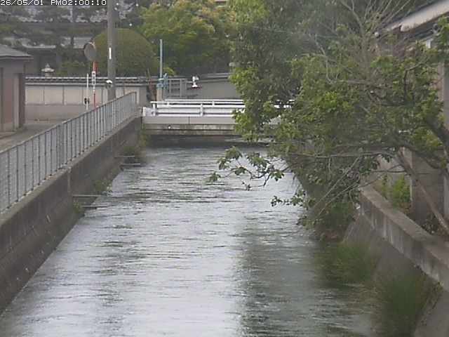 山白川２2026/05/01 16:50:00