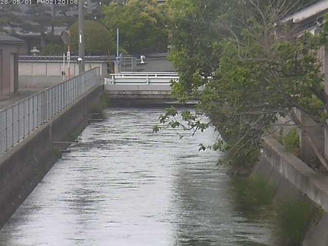 山白川２2026/05/01 16:50:00