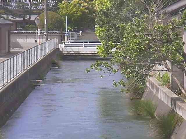 山白川２2026/05/01 16:50:00