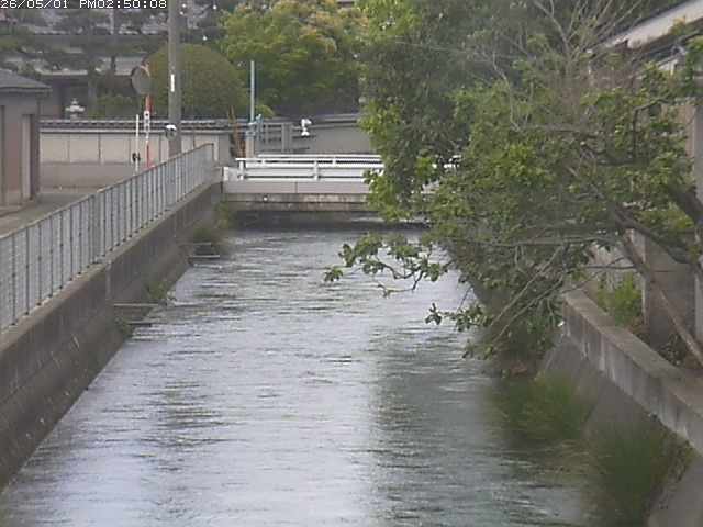 山白川２2026/05/01 16:50:00