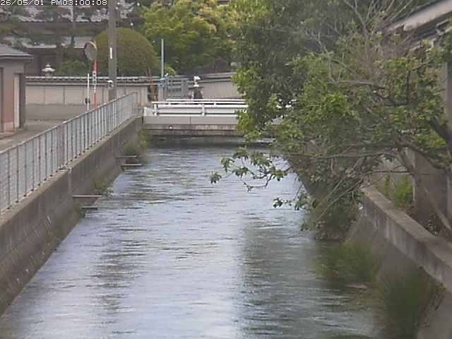 山白川２2026/05/01 16:50:00